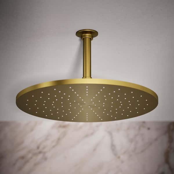 1-Spray Pattern with 2.5 GPM 14 in. Ceiling Mount Fixed Shower Head in Vibrant Brushed Moderne Brass