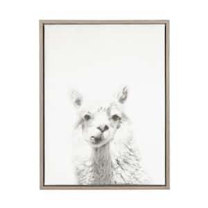 Sylvie "Alpaca Portrait" by Tai Prints Framed Canvas Wall Art