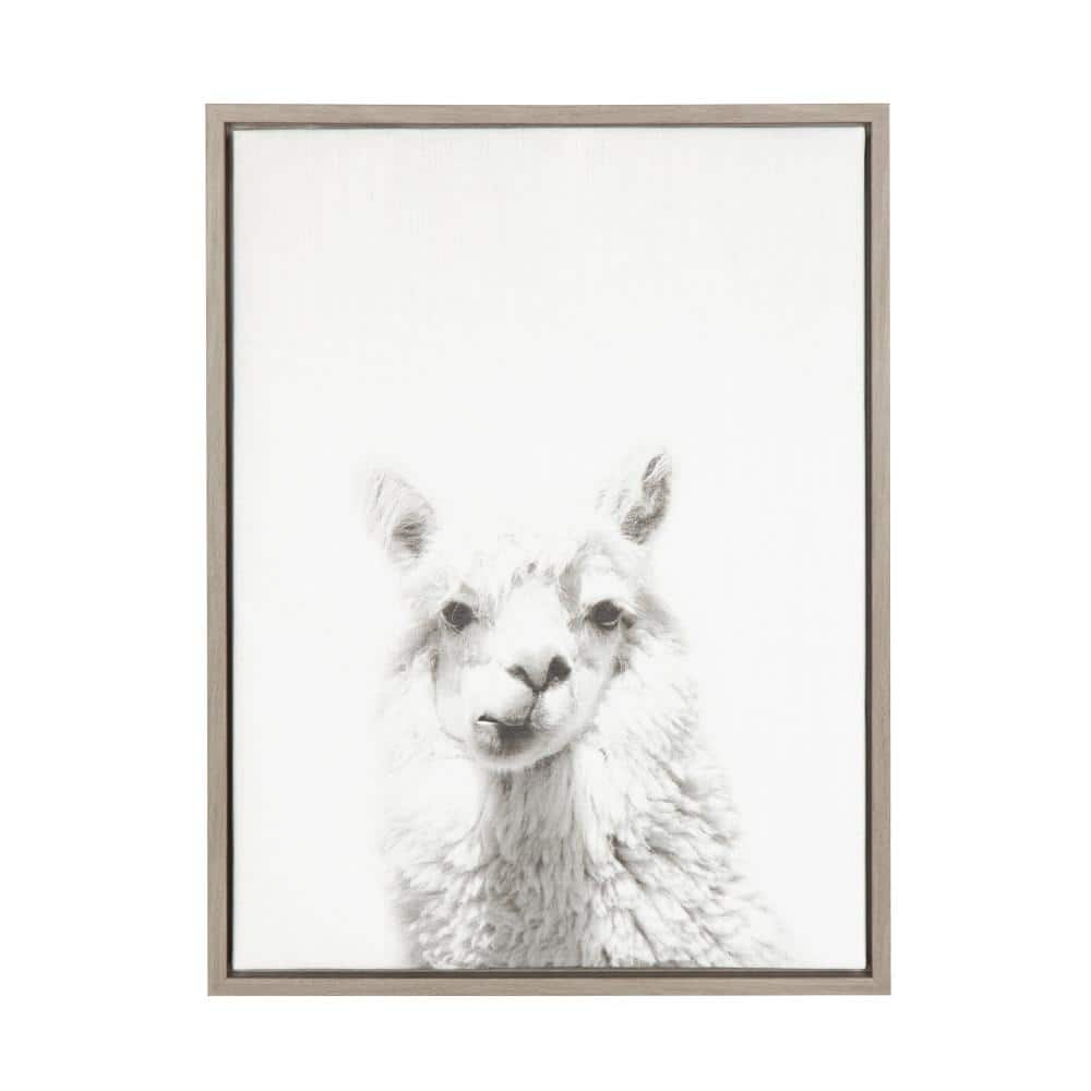 "Sylvie ""Alpaca Portrait"" by Tai Prints Framed Canvas Wall Art" price history on PriceWatchPro