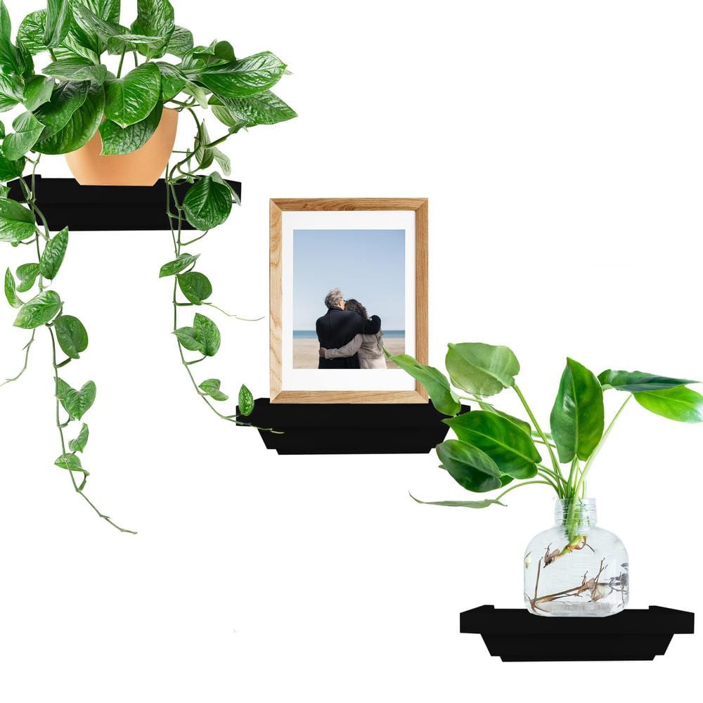 6 in. W x 4 in. D Floating Wall Shelves Mounted Set of 3, Small Decorative 