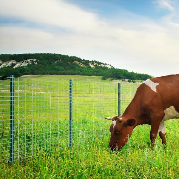3 ft. Fence Post, T-Post Heavy-Duty Metal Fence Posts, Sturdy Steel Fence Stakes for Garden Yard, Lawn, Green (10-Pack)