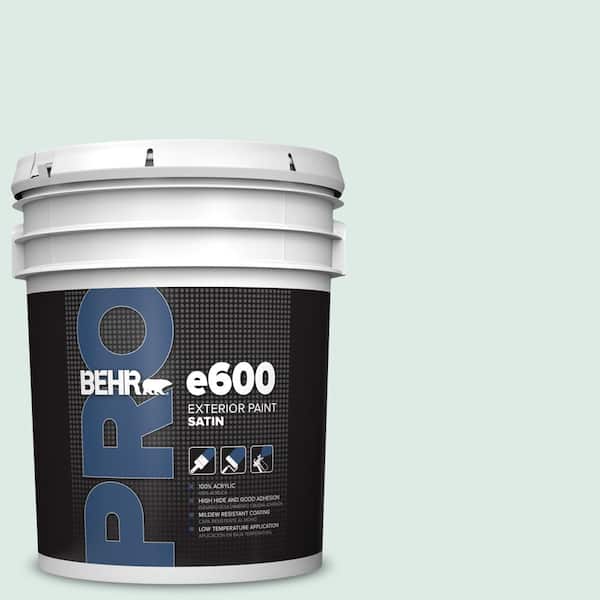 5 gal. #M430-1 Snowbound Satin Exterior Paint