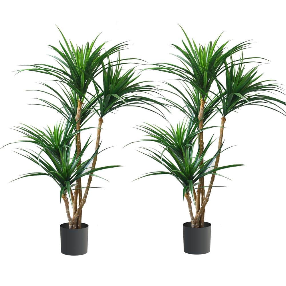 Pure Garden 51 in. Green Artificial Yucca Trees (Set of 2) 50