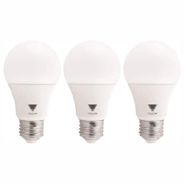TriGlow 60-Watt Equivalent A19 800-Lumen Daylight LED Light Bulbs (3-Pack)