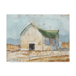 Whitewashed Barn Iv by Ethan Harper Hidden Frame Country Wall Art 14 in. x 19 in.