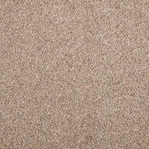 Maisie I  - Foundation - Beige 42 oz. Triexta Texture Installed Carpet