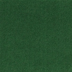 Elevations - Color Leaf Green 12 ft. Indoor/Outdoor Ribbed Texture Carpet