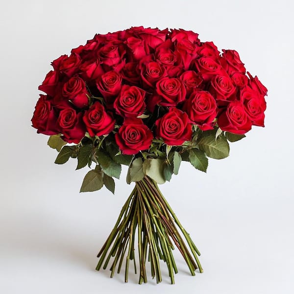 Globalrose 50 Stems - Fresh Cut Red Roses