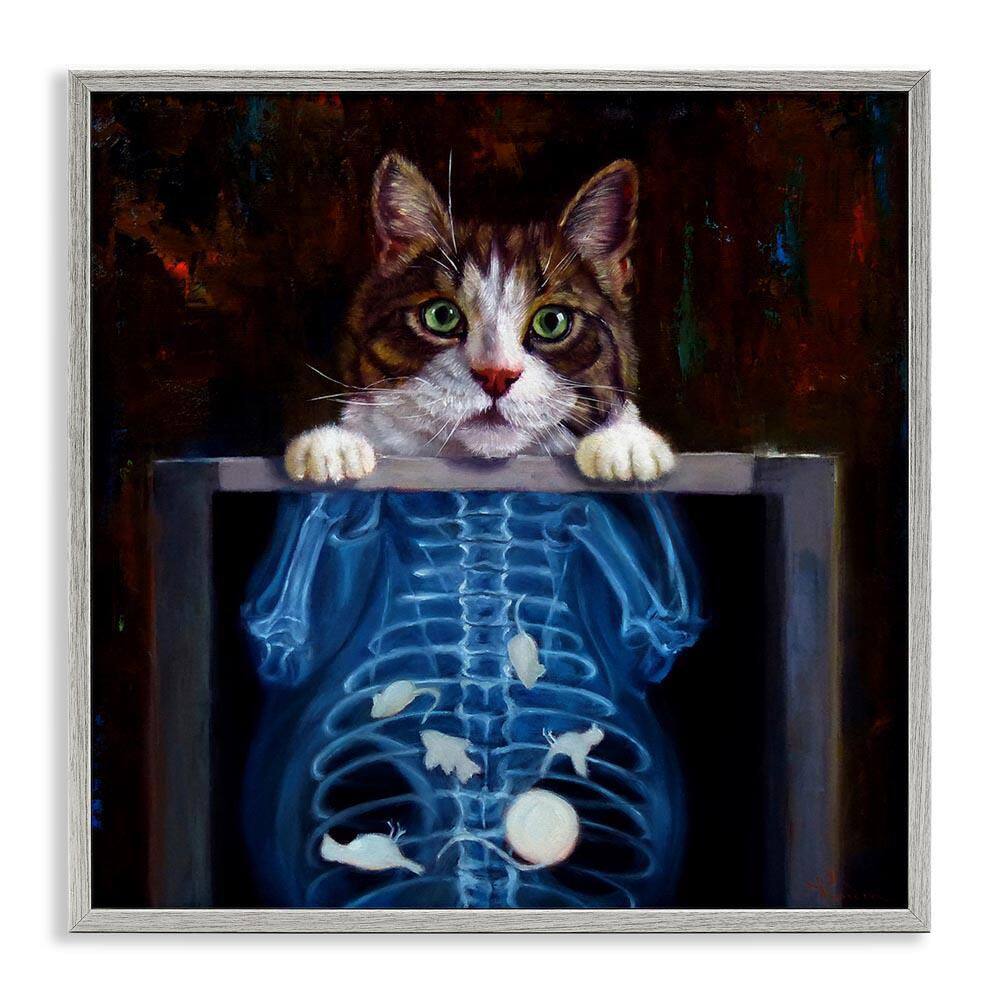 Funny Cat X-Ray Mice by Lucia Heffernan Gray Framed Giclee Art Print Animal 24 in. x 24 in. price history on PriceWatchPro