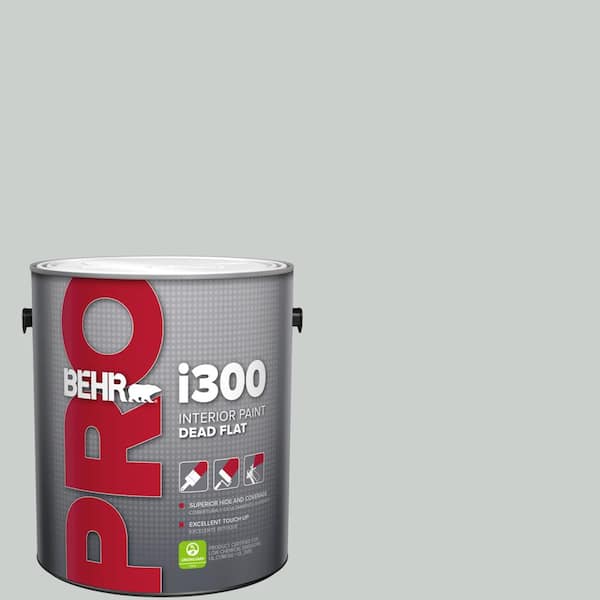 1 gal. #HDC-MD-06G Sparkling Silver Dead Flat Interior Paint