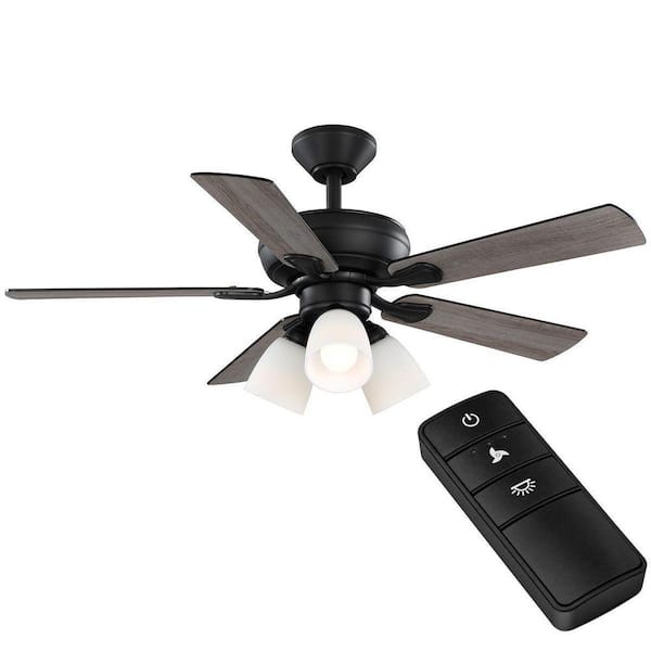 Hampton Bay Riley 44 in. Indoor LED Matte Black Downrod Ceiling Fan with 5 Reversible Blades, Light Kit and Remote Control Included