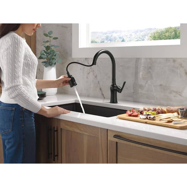 Faryn Matte Black 16.5 in. H Pull Down Sprayer Kitchen Faucet with 360° Swivel Spout