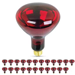 250-Watt Red BR40 Dimmable Incandescent 120-Volt Infrared Heat Lamp Light Bulb(24-Pack)
