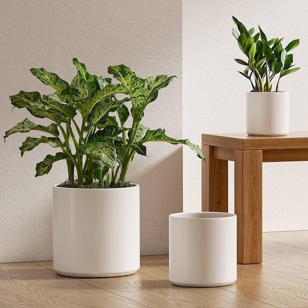 Newest Modern Pot for Plant, Fluted Ceramic Planter, White Indoor Planter, Glazed Indoor Plant Pot (10 inch)