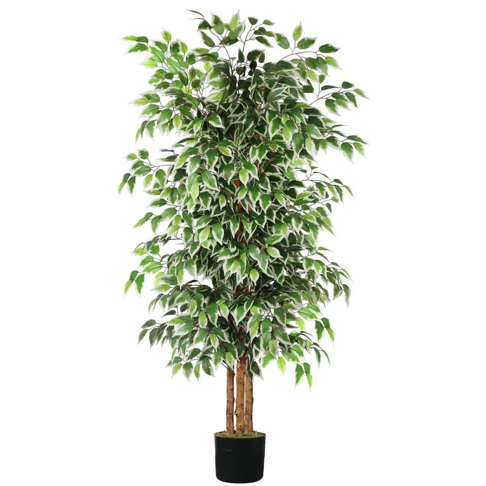 6 ft. Artificial Ficus Tree in Pot