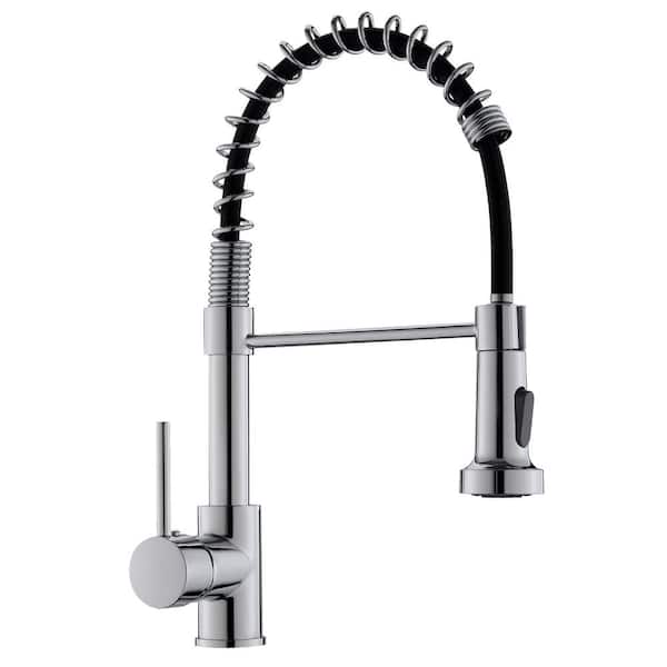 Flynama Single Hole Single-Handle Pull-Down Sprayer Kitchen Faucet in Chrome