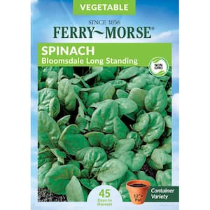 Spinach Bloomsdale Long Standing Vegetable Seed