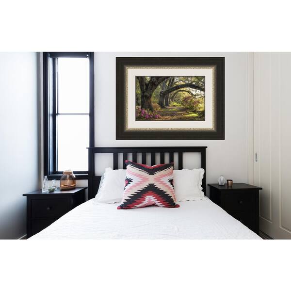 Unbranded 27.75 in. x 35.75 in. "Under the Live Oaks I" Landscape by Danny Head Fine Art Paper Print Framed with Glass Wall Art