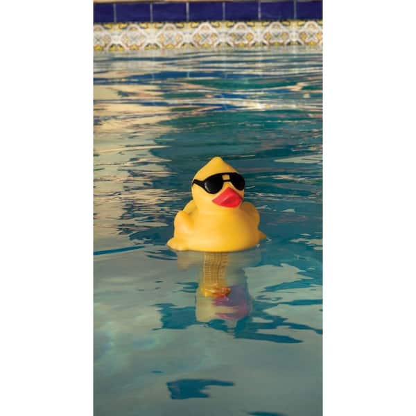 duck with sunglasses