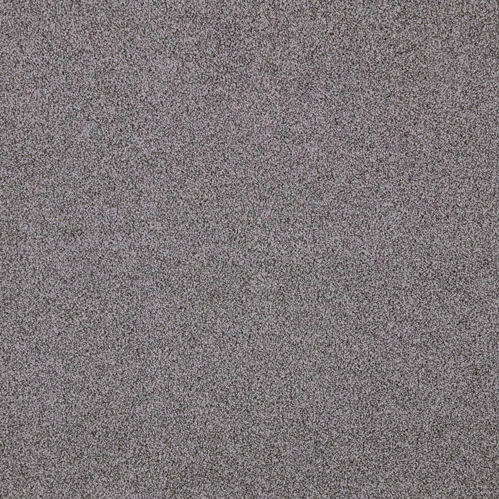 8 in. x 8 in. Texture Carpet Sample - Playful Moments I (M) -Color Foggy Flannel price history on PriceWatchPro