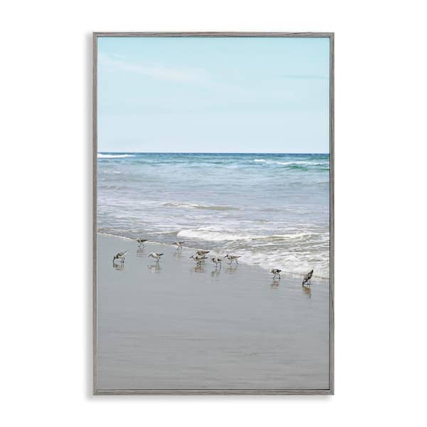 Stupell Industries Energetic Beach Birds by Natalie Carpentieri Gray Framed Coastal Giclee Art Print 18 in. x 12 in.