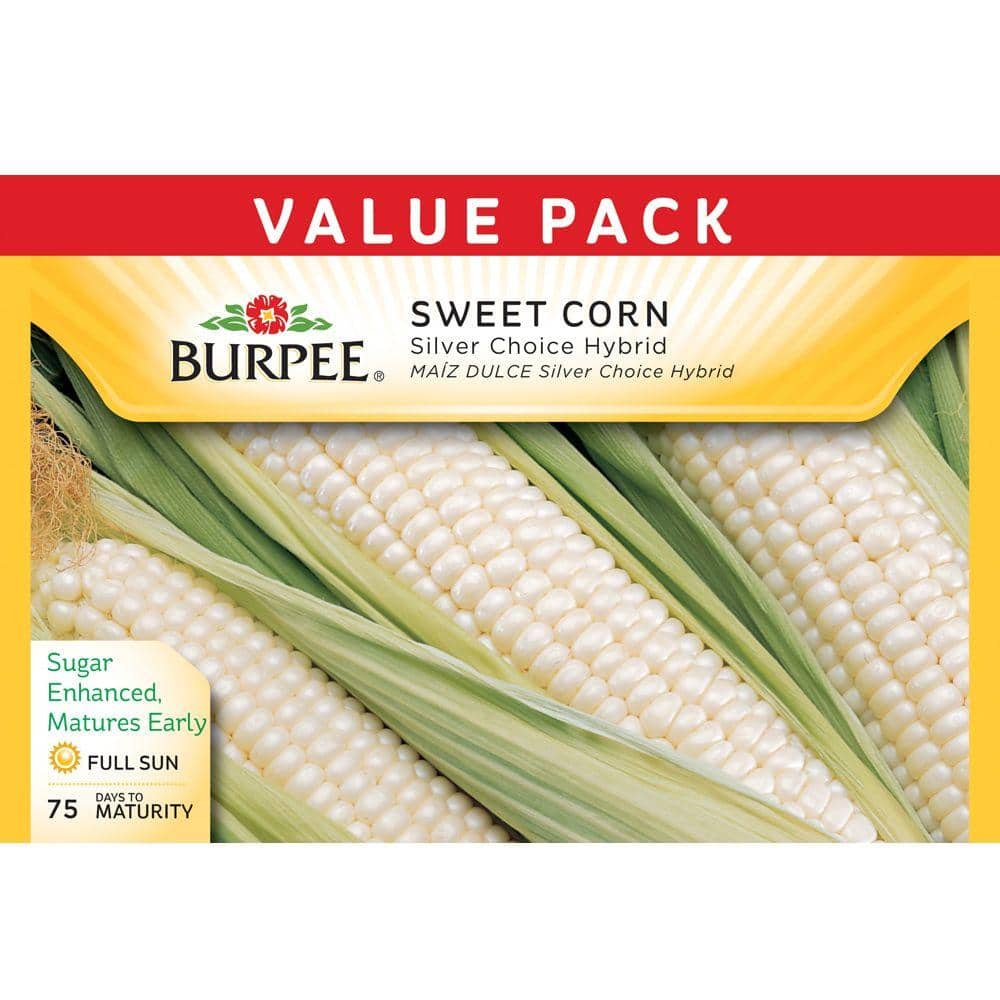 Burpee VP Corn Silver Choice Hybrid Seed 57226 - The Home Depot