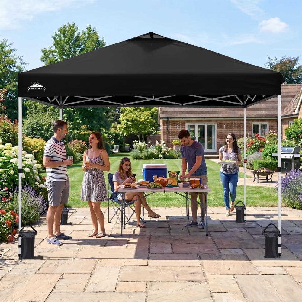 10 ft. x 10 ft. Outdoor Pop-up Canopy Portable Canopy Tent w/ Metal Frame Sand Bag Wheeled Storage Bag Adjustable, Black price history on PriceWatchPro