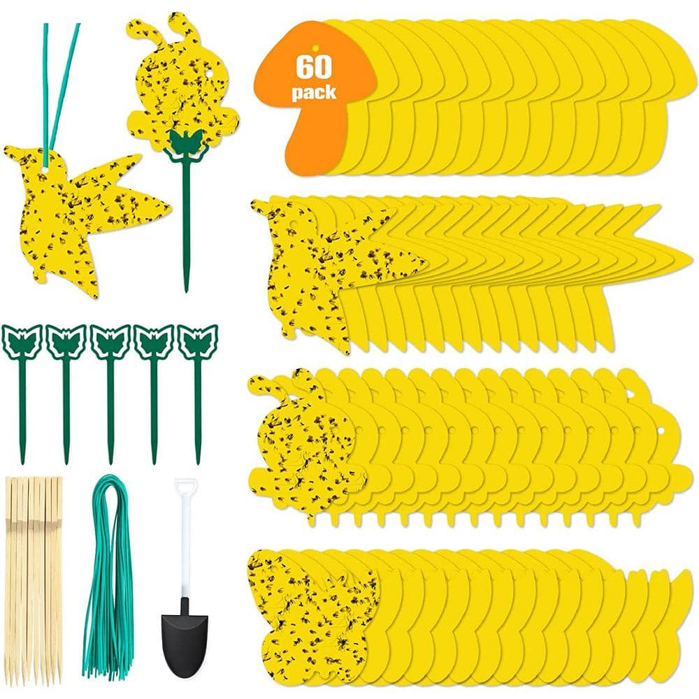 20Pcs Sticky Fly Trap Paper Yellow Traps Fruit Flies Insect Glue Catcher  USA - Simpson Advanced Chiropractic & Medical Center