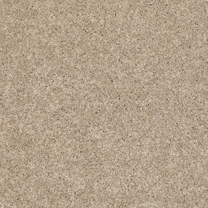 Palmdale I - Gentle Breeze - Beige 17.6 oz. Polyester Texture Installed Carpet