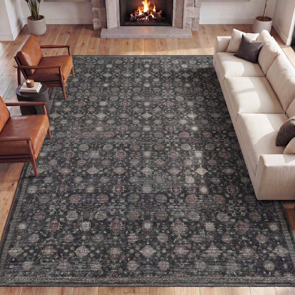Petunia Distressed All-Over Floral Border Non-Slip Machine-Washable Charcoal/Red 8 ft. x 10 ft. Area Rug price history on PriceWatchPro