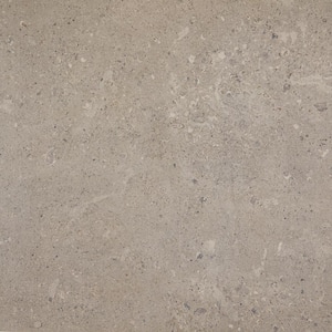 Dignitary Superior Taupe 24 in. x 24 in. Color Body Porcelain Paver Tile (7.6 sq. ft./case)