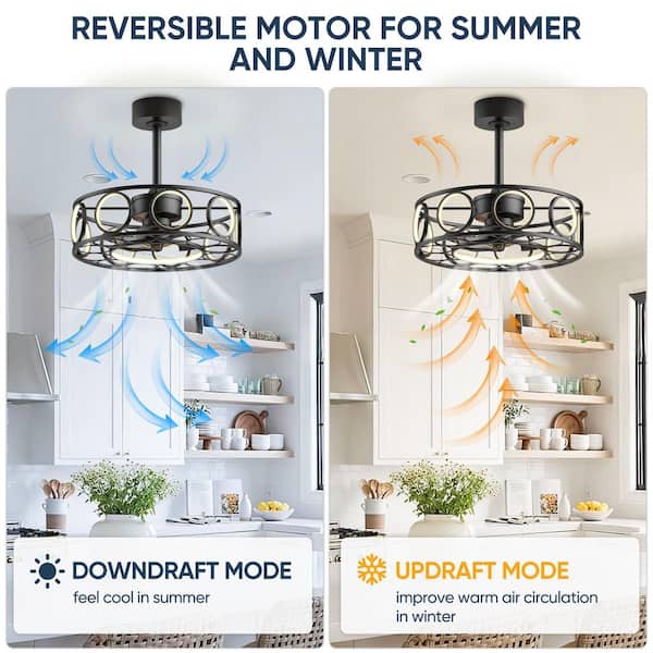 19.7 in. Caged Ceiling Fan with Light Remote Control Black Modern 3 Color Temperature Pendant Light for Home and Kitchen