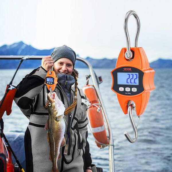 Fishing Scale How Much Weight Can A 660 Lb Scale Pull MODERN STEP (Burnt Orange) - Hanging Scale 660Lb 300Kg For Farm, Hunting, Bow Draw Weight, Big Fish & Hoyer Lift With