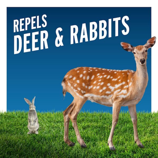 Liquid Fence - 32 oz. Ready-to-Use Deer and Rabbit Repellent