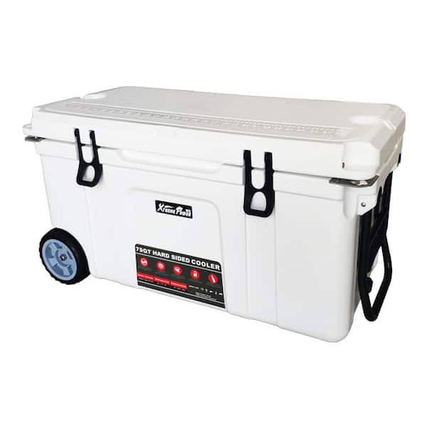 Afoxsos 18 .5 in. W x 29.5 in. L x 15.5 in. H White Portable Ice
