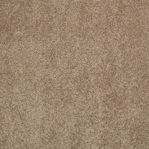 Coral Reef I - Desert Earth - Brown 65.5 oz. Nylon Texture Installed Carpet