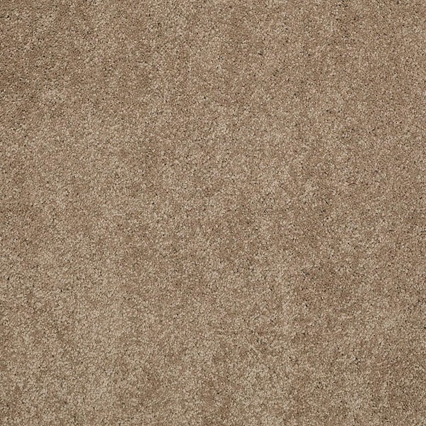 Lifeproof Coral Reef II - Desert Earth - Brown 93.6 oz. Nylon Texture Installed Carpet