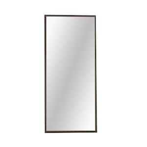 71 in. W x 31 in. H Framed Rectangular Full-Length Gray Mirror for Living Room