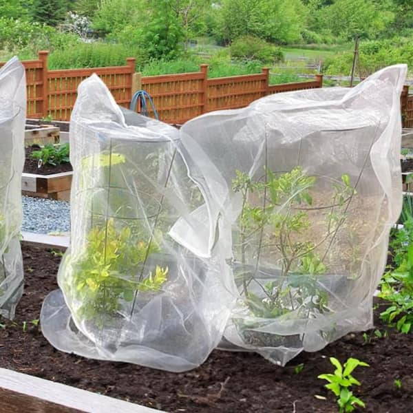 shepherd hooks for hanging plants 60