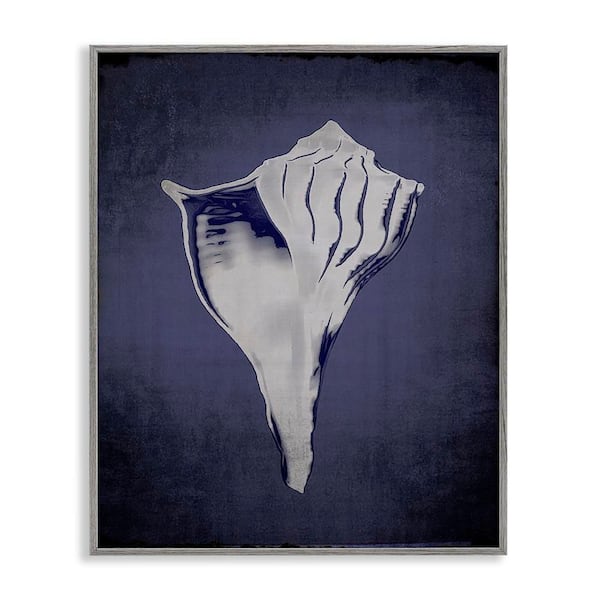 Stupell Industries Lightning Whelk on Indigo by Graffi tee Studios Gray Framed Coastal Giclee Art Print 20 in. x 16 in.