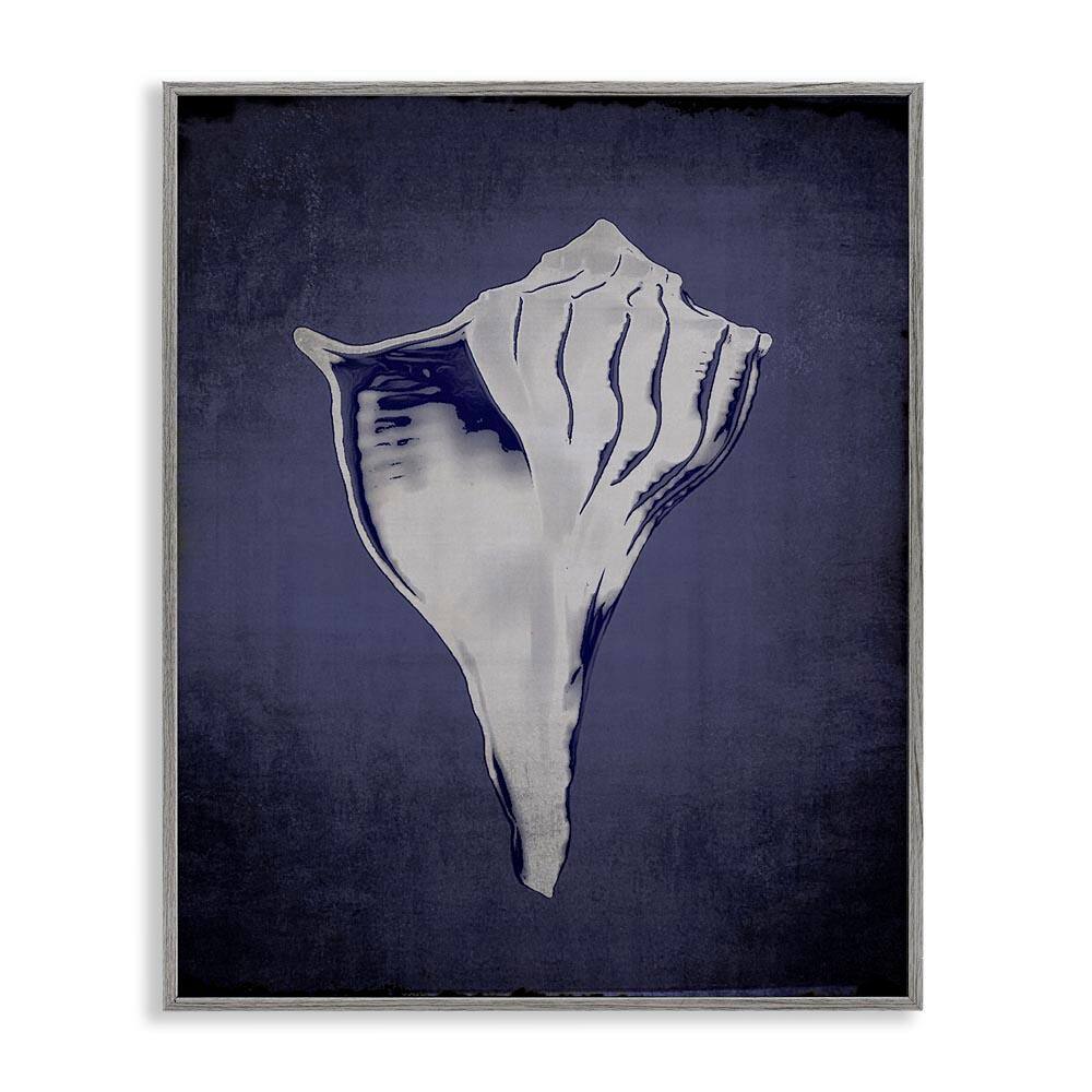 Lightning Whelk on Indigo by Graffi*tee Studios Gray Framed Coastal Giclee Art Print 30 in. x 24 in. price history on PriceWatchPro