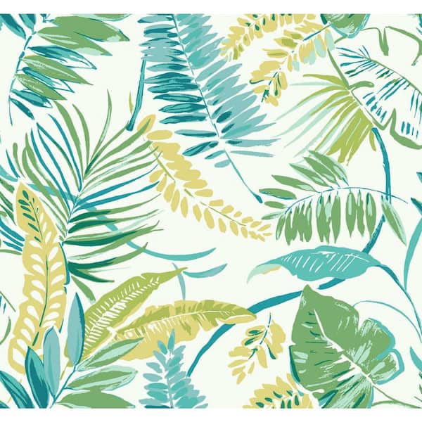 York Wallcoverings 60.75 sq. ft. Tropical Toss Wallpaper
