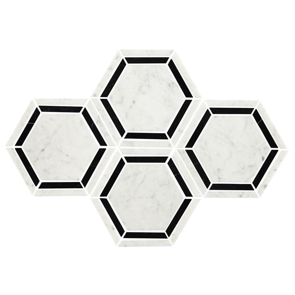 Premier Elegance Black/White Blend 12 in. x 12 in. Marble Hexagon Mosaic Tile (4.25 sq. ft./Case) price history on PriceWatchPro