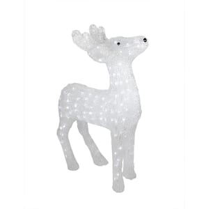 24 in. Pre-Lit Commercial Grade Acrylic Reindeer Christmas Display Decoration - Polar White LED Lights