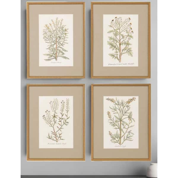 4 Piece Framed Graphic Print Plants and Flowers 26.00 in. x 20.00 in.