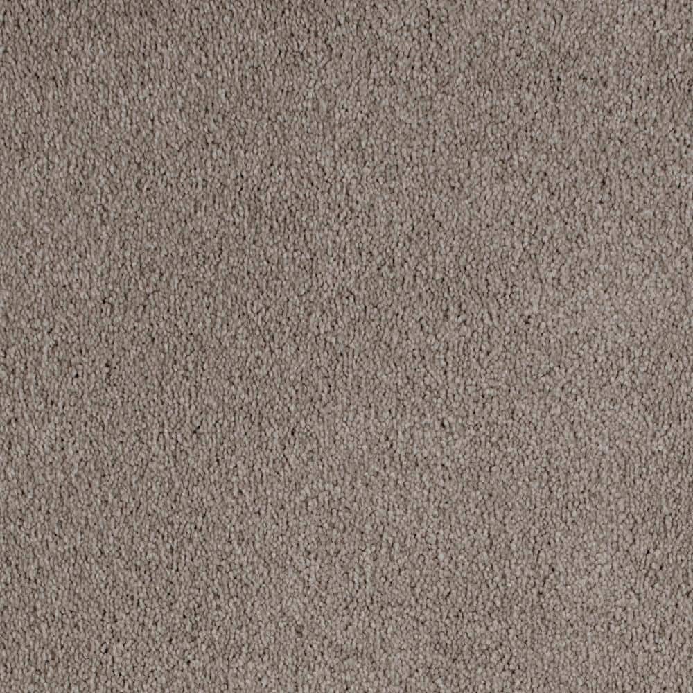 8 in. x 8 in. Texture Carpet Sample - Still In Love II -Color Date Night price history on PriceWatchPro