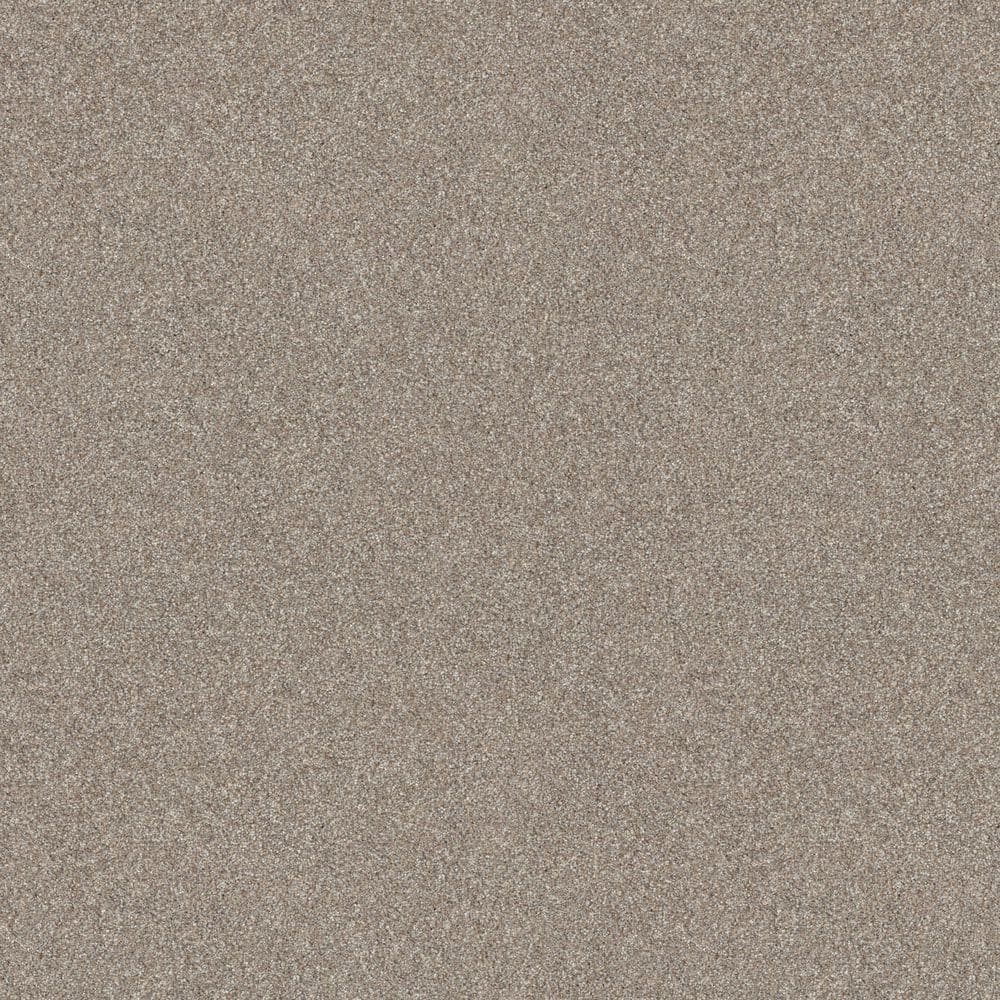 8 in. x 8 in. Texture Carpet Sample - Cuddle Cakes II - Color Alabaster price history on PriceWatchPro