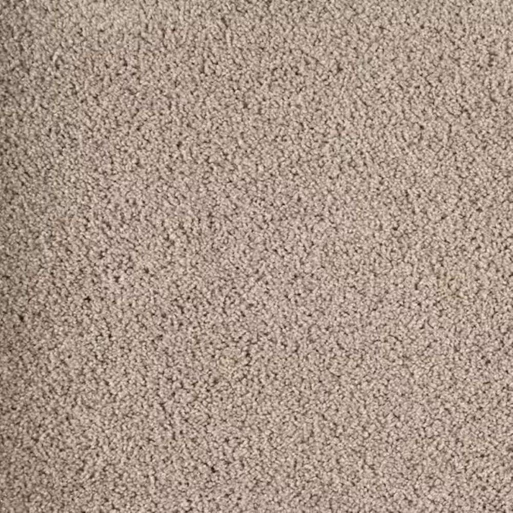 8 in. x 8 in. Texture Carpet Sample-Rockaway I-Color Taupe Sand price history on PriceWatchPro