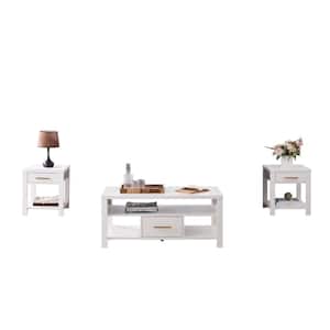 SignatureHome Sendero 20 in. W White Finish Rectangle Shape Wood Coffee Table With 2-End Table (42 L x 20 W x 19 H)