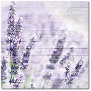 Lavender Fields 16 in. x 16 in. Gallery-Wrapped Canvas Wall Art